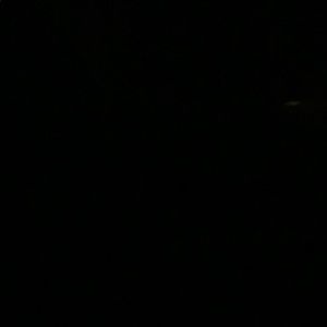 Meet your Posher, Pedro